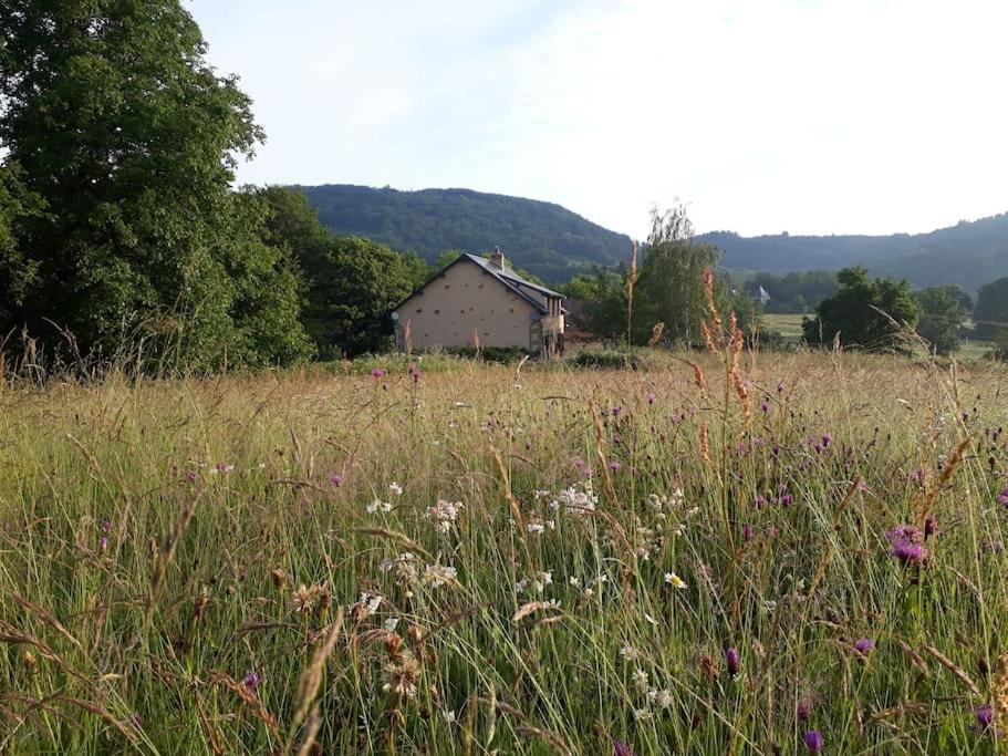 Le Studio Du Crot Noir Cussy-en-Morvan 外观 照片