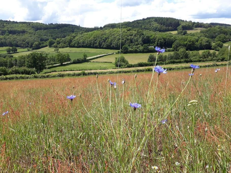 Le Studio Du Crot Noir Cussy-en-Morvan 外观 照片